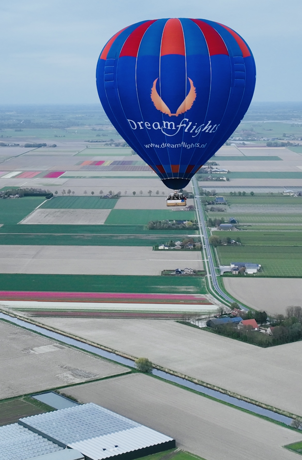 ballonvlucht tijdens Tulpenfestival